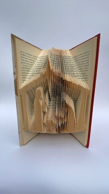 Libro El Misterio